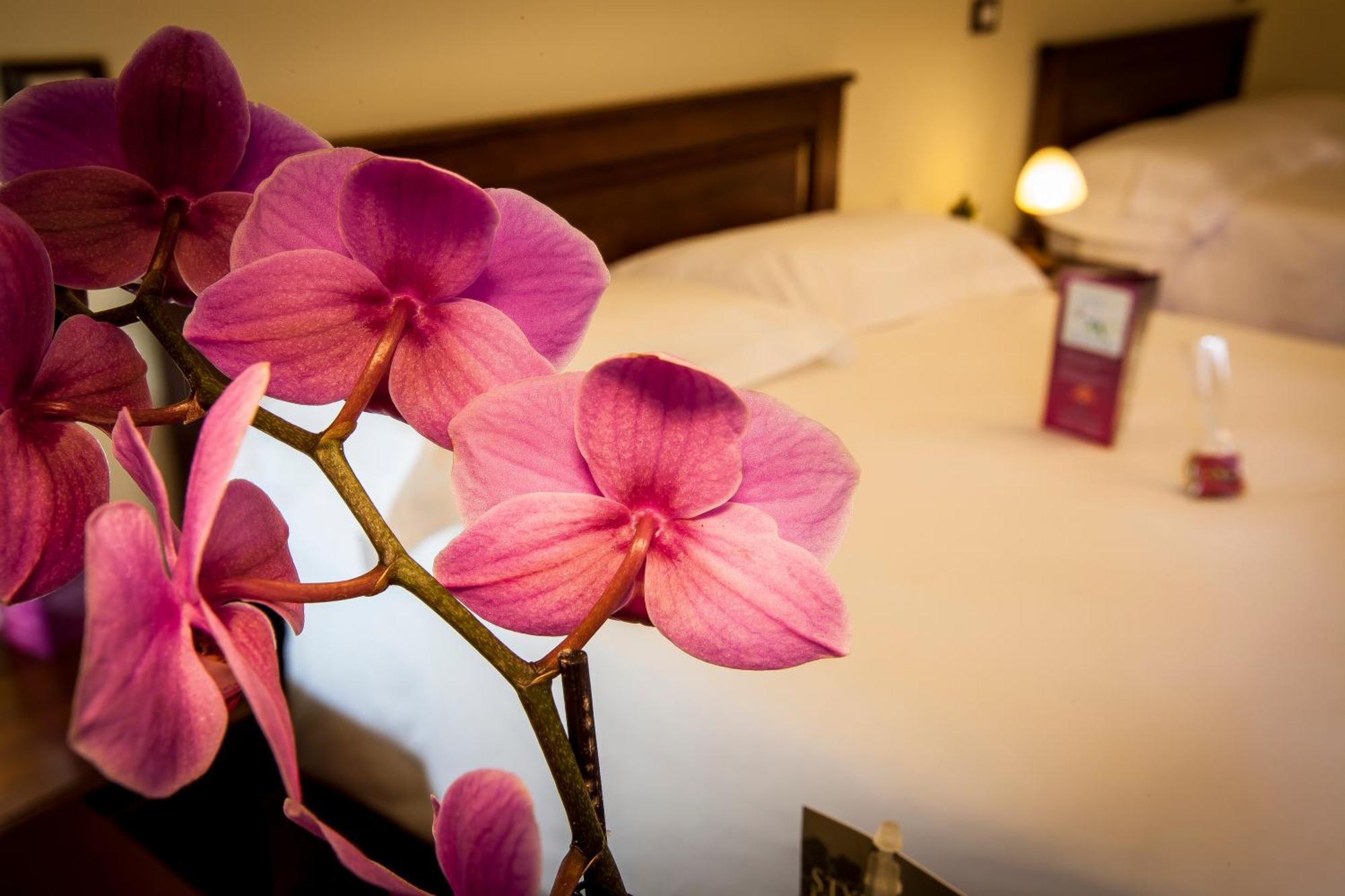 Hotel Residenza Petra Petralia Soprana Extérieur photo